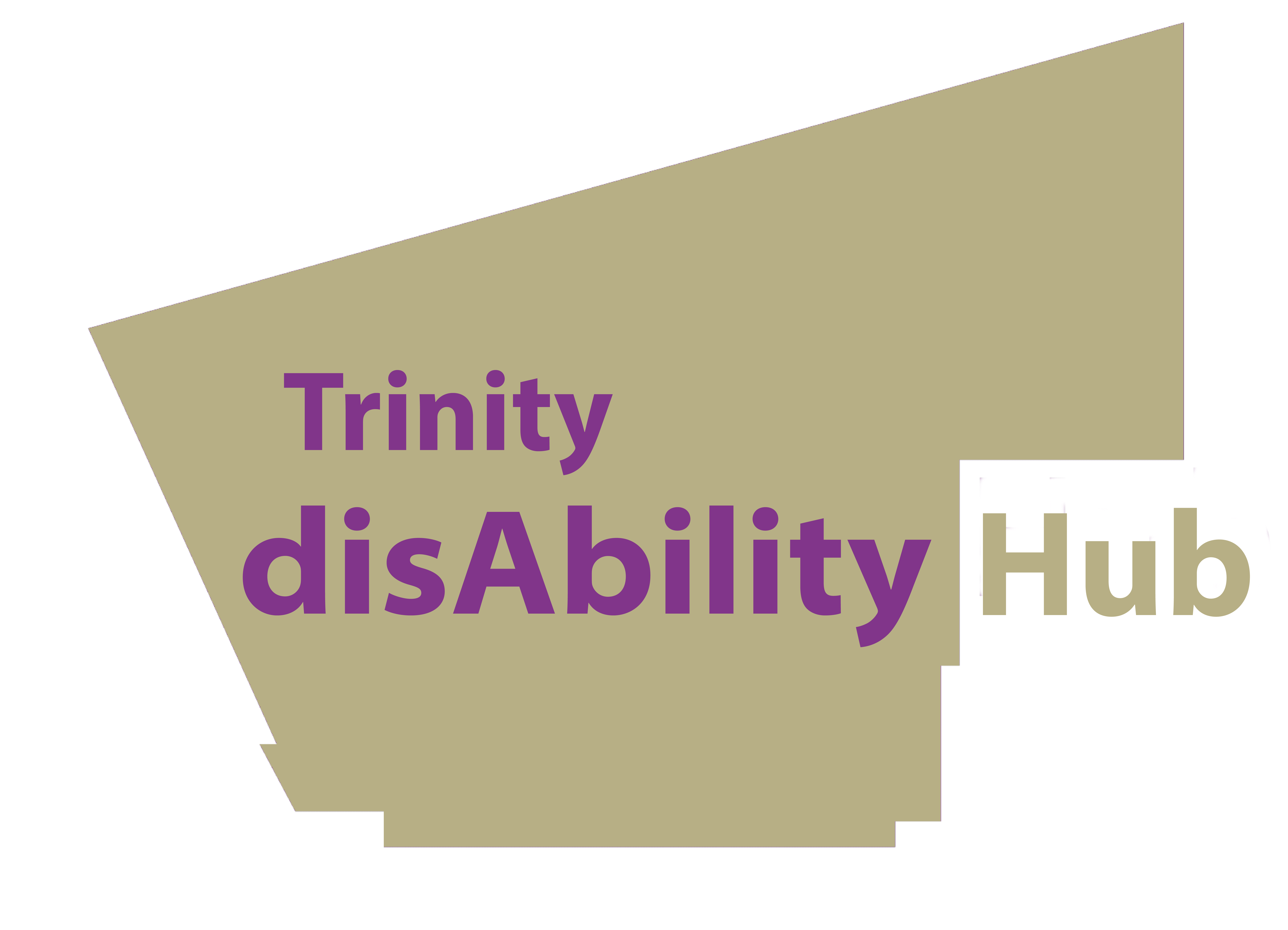 Trinity disAbility Hub gold logo
