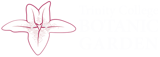 Trinity College Botanic Garden logo